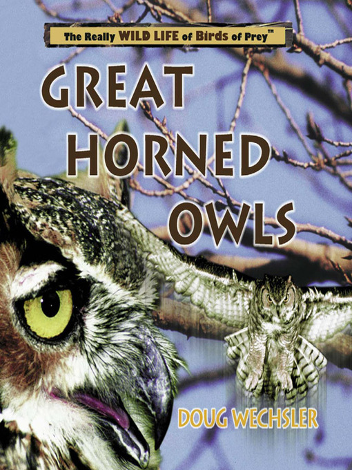 Title details for Great Horned Owls by Doug Wechsler - Available